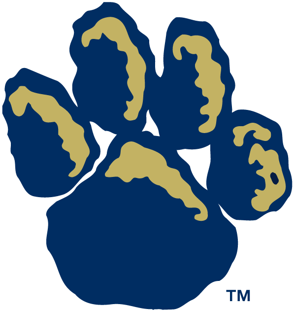 Pittsburgh Panthers 1997-Pres Alternate Logo v2 diy DTF decal sticker